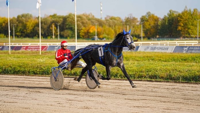 Resizer_16966128818763