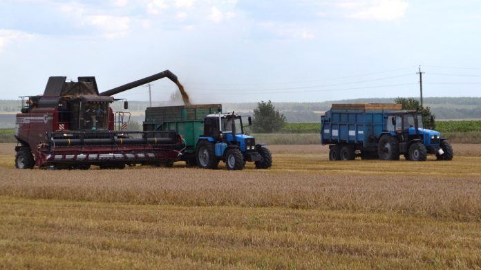 Уборочная. Сапожок. 14.08.2025_8