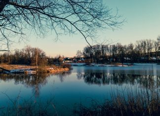 17 ноября в Рязанской области потеплеет