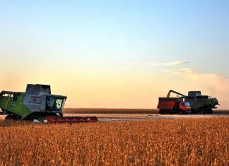 Губернатор Павел Малков: Наши аграрии собрали более трёх миллионов тонн зерна и близки к повторению рекорда 2022 года
