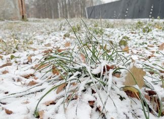 Прогноз погоды на понедельник от синоптиков Рязанского ЦГМС