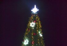 В Сапожке открыли главную поселковую елку