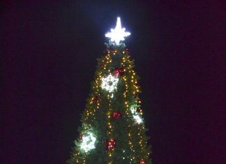 В Сапожке открыли главную поселковую елку