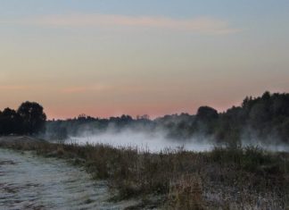 Туман и гололедицу обещают синоптики рязанцам в понедельник