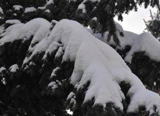 26 января в Рязанской области будет облачно с прояснениями