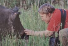 В Сапожке открылась выставка, посвященная животным Окского заповедника