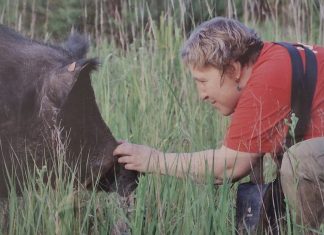 В Сапожке открылась выставка, посвященная животным Окского заповедника