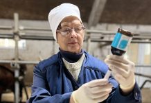 Сапожанка Валентина Кожина работает в агропромышленном комплексе более 45 лет