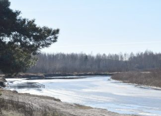 10 марта в Рязанском области потеплеет до +6°С