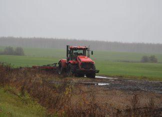 В Рязанской области зарплата в сельском хозяйстве впервые превысила среднюю заработную плату в регионе