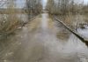 В Сапожковском округе освободился от воды низководный мост неподалеку от деревень Дмитриевка и Ширино