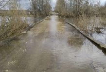 В Сапожковском округе освободился от воды низководный мост неподалеку от деревень Дмитриевка и Ширино