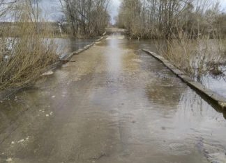 В Сапожковском округе освободился от воды низководный мост неподалеку от деревень Дмитриевка и Ширино