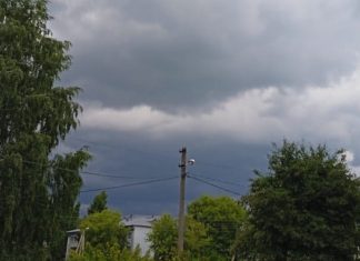 В понедельник в Рязанской области ожидаются грозы