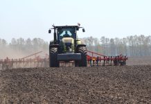 В Сапожковском округе начали сеять пшеницу и горох