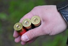 43-летний сапожковец незаконно хранил в своем гараже патроны