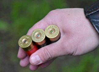 43-летний сапожковец незаконно хранил в своем гараже патроны